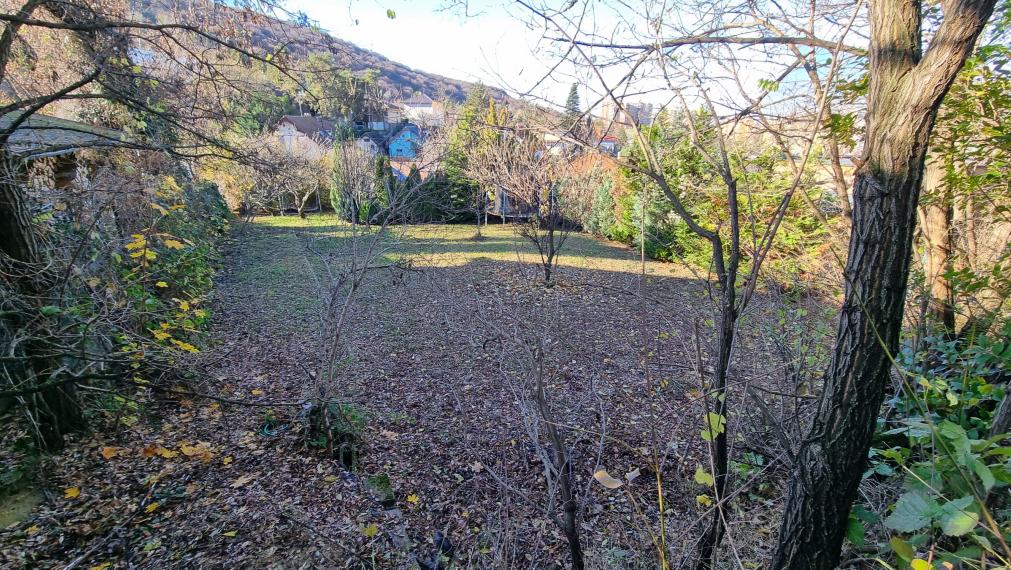 Na predaj: pozemok 461 m² s rekreačnou chatou, Bratislava – Devínska Nová Ves