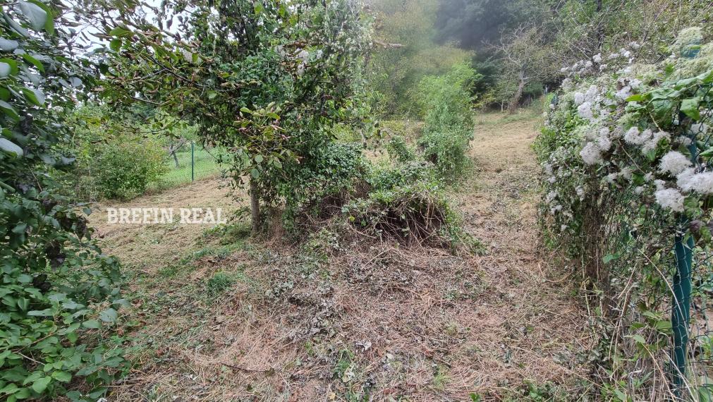 VEĽKÝ 1020 m² POZEMOK POD LESOM V BORINKE – POKOJ, PRÍRODA A POTENCIÁL