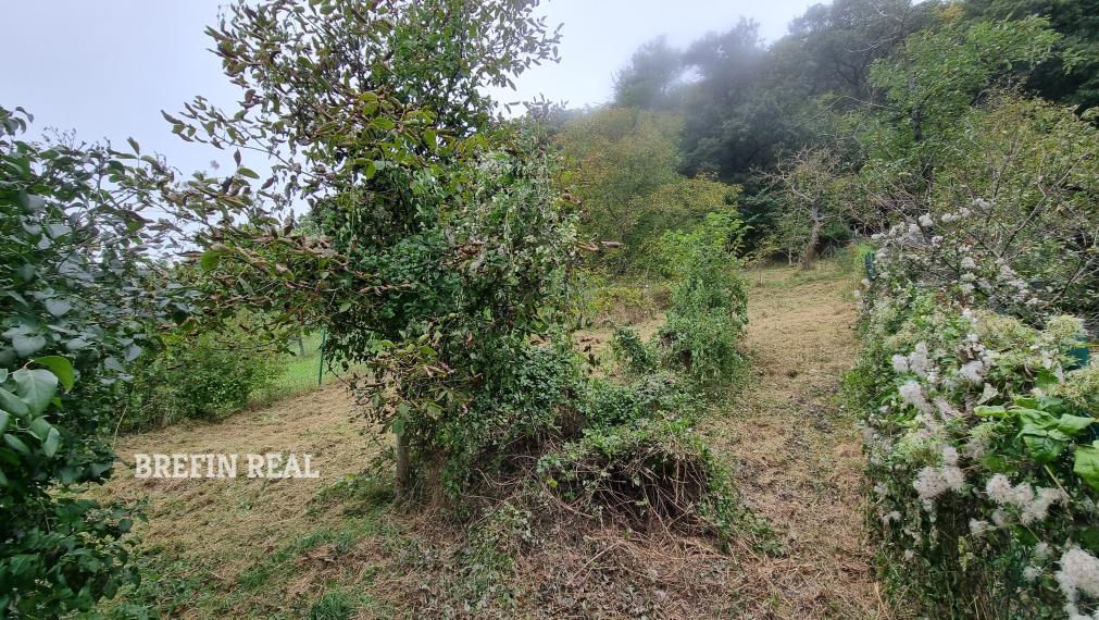 VEĽKÝ 1020 m² POZEMOK POD LESOM V BORINKE – POKOJ, PRÍRODA A POTENCIÁL