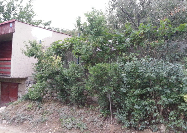 Na predaj: pozemok 461 m² s rekreačnou chatou, Bratislava – Devínska Nová Ves