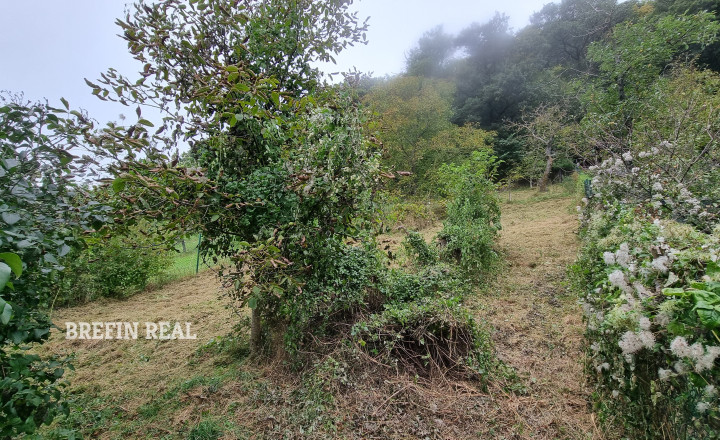 POKOJ a PRÍRODA-JAR až JESEŇ-spoločný ČAS na DVORE-1020 m2 - fotografia 30